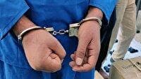 دستگیری سارق به عنف و کشف ۱۰۰ گرم طلا در لامرد