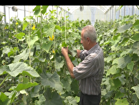 ایجاد واحد های گلخانه ای برای مدیریت مصرف آب