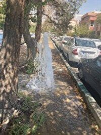 اتصال فضای سبز بولوار صارمی به شبکه آبیاری تصفیه‌خانه اکباتان