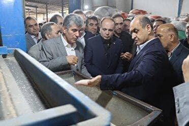 پرداخت مطالبات چایکاران و تعیین نرخ برنج به زودی