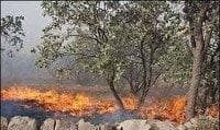 حریق در مراتع و جنگل‌های طارم سفلی