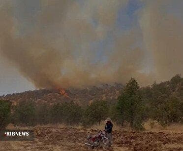 آتش افتاده به جان جنگل‌های مریوان همچنان زبانه می‌کشد