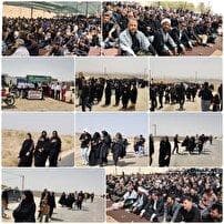 همایش بزرگ پیاده‌روی دلدادگان رضوی در شهرستان مرزی زیرکوه