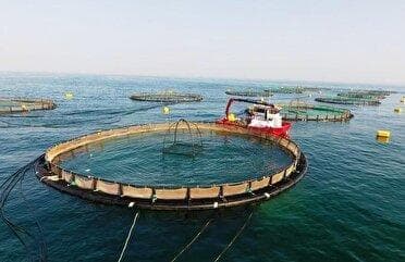 اجرای شش طرح بزرگ شیلاتی در هرمزگان