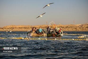 دریایی آرام در صبح و ناپایداری جوی در بعدازظهر امروز، ۳ شهریور