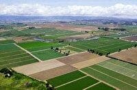 حدنگاری بیش از ۸۷ درصد از زمین‌های کشاورزی خوزستان