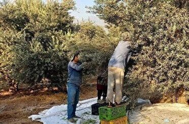 ممنوعیت به کارگیری اتباع بیگانه در گیلان