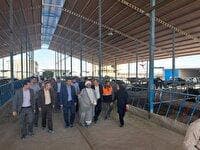 تحقق ۱۰۷ درصدی تعهدات اشتغال در شهرستان جوین 