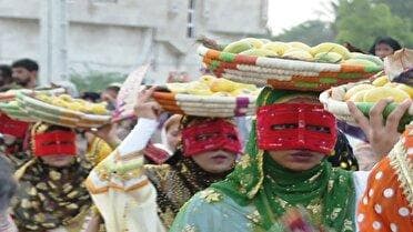 یازدهمین جشنواره شکرگزاری انبه و یاسمین گل میناب؛ بزودی