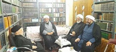 عیادت جمعی از نمایندگان خوزستان در مجلس خبرگان رهبری با آیت الله شفیعی