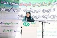 صیانت از طبیعت با توسعه انرژی های تجدید پذیر
