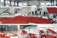 فعالیت ۱۳ واحد فرآوری عناب در خراسان جنوبی