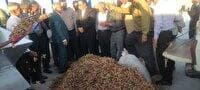 بهره برداری از سومین ترمینال فرآوری پسته در اسفراین