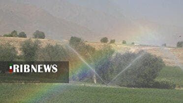 استقبال کشاورزان بویین میاندشتی از روش های نوین آبیاری