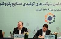 توسعه صنعت پتروشیمی در گرو خصوصی‌سازی واقعی