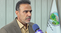تولید بیش از ۶ میلیون اصله نهال در دو سال