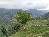 بازگشت ۷۰۰ هکتار اراضی ملی سوادکوه به بیت‌المال