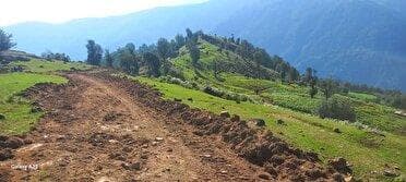 تخریب بیش از ۸ کیلومتر از مراتع و جنگل‌های مناطق حفاظت شده شهرستان شفت