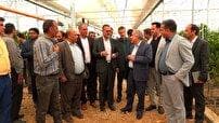 بهره برداری از ۱۷ طرح عمرانی، تولیدی و خدماتی در دهاقان