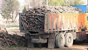 کشف ۱۵ تن چوب جنگلی قاچاق در شهرستان آستانه اشرفیه