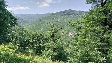 خروج تدریجی سامانه بارشی فردا از آسمان گیلان