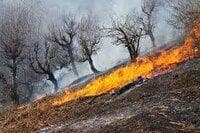 آتش سوزی در مراتع طارم سفلی + فیلم