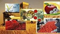 لزوم توسعه صنایع تبدیلی در مراغه