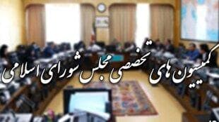 حضور وزرای اقتصاد و راه در جلسات هفته آینده کمیسیون‌های مجلس