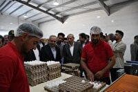 بهره برداری از دو واحد مرغداری در ملکان