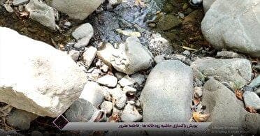 جمع آوری زباله از حاشیه رودخانه کن