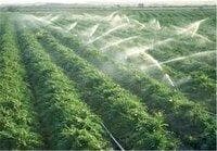 طرح آبلش لنده ظرفیتی کم نظیر و مغفول مانده در سایه بی توجهی متولیان