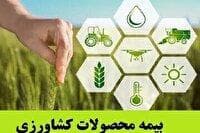 افزایش ۵۰ درصدی تعهدات بیمه گندم