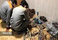 دستگیری سارقان سيم و کابل مخابراتی در خرم‌آباد