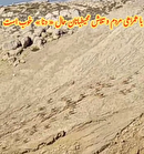 قدردانی از مردم روستای کره به خاطر امنیت برای حیاط وحش دنا