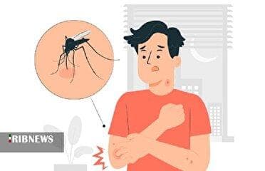 دوره پنهان بیماری تب دنگی ۷ تا ۱۴ روز