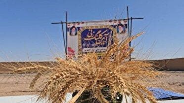 خوشه گندم؛ طرح مردمی مدرسه سازی در کوهپایه
