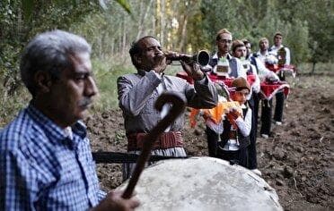 برگزاری هفتمین جشنواره سیر و موسیر همدان