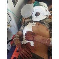 حمله خرس به نوجوان ۱۴ساله