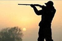 کشف لاشه ۲ راس قوچ وحشی در تایباد