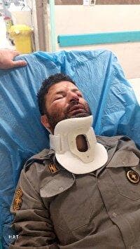 ضرب و شتم محیط‌بان شمیرانات توسط متعرضان غیرمجاز