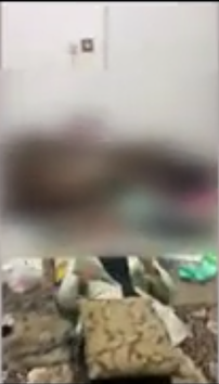 دستگیری پزشک قلابی در شهرستان ورامین