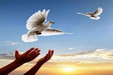 آزادی زندانی محکوم به قصاص در هرمزگان پس از ۹ سال