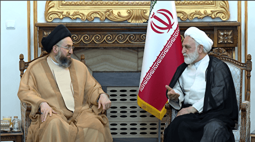 دیدار رئیس جریان حکمت ملی عراق با رئیس قوه قضاییه