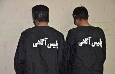 برادران کلاهبردار روانه زندان شدند