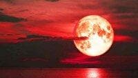 ماه خونین، امشب آسمان ایران را قرمز می‌کند/ هنگام ماه گرفتگی چه نکاتی باید رعایت کرد