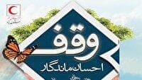 خرید ساختمانی در مجاورت داروخانه هلال احمر یزد به صورت وقف مشارکتی