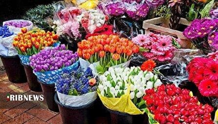 حال و هوای بازار گل