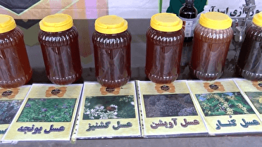برداشت ۴۳۸ تن عسل امسال در اسدآباد