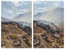 مهار آتش سوزی ۱۴ هکتاری در حاشیه پارک ملی لار