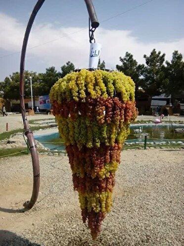 آغاز هشتمین جشنواره انگور در ارومیه